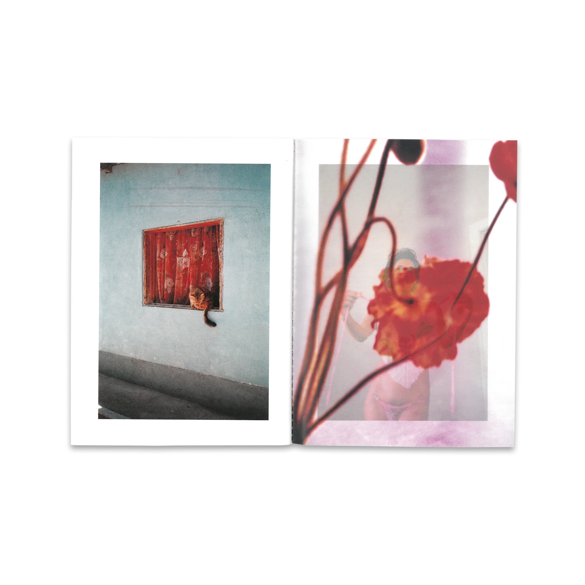 Flor de Jamaica - Jazmin Garcia - Image 5