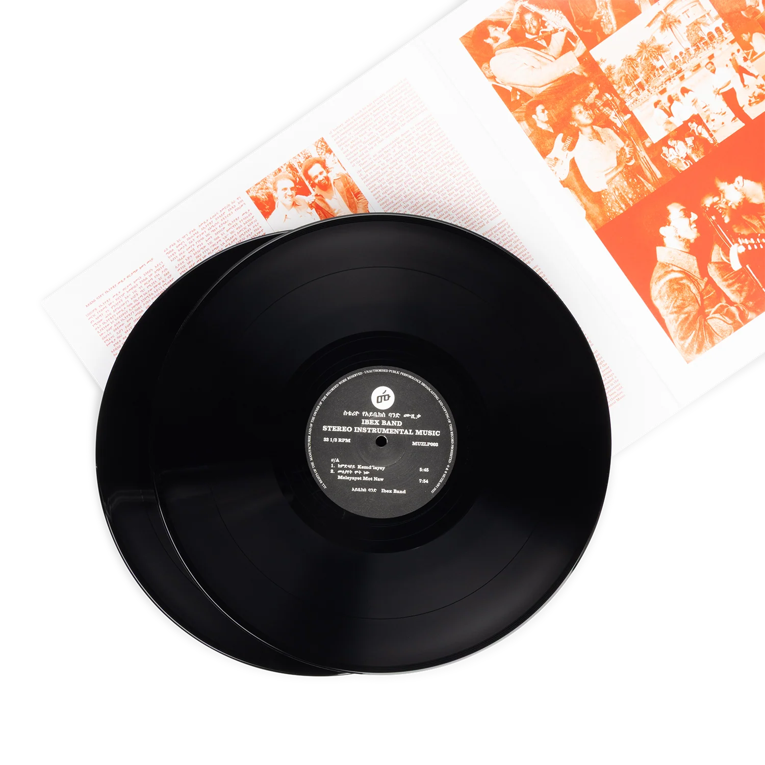 Ibex Band: 2LP Vinyl - Image 4
