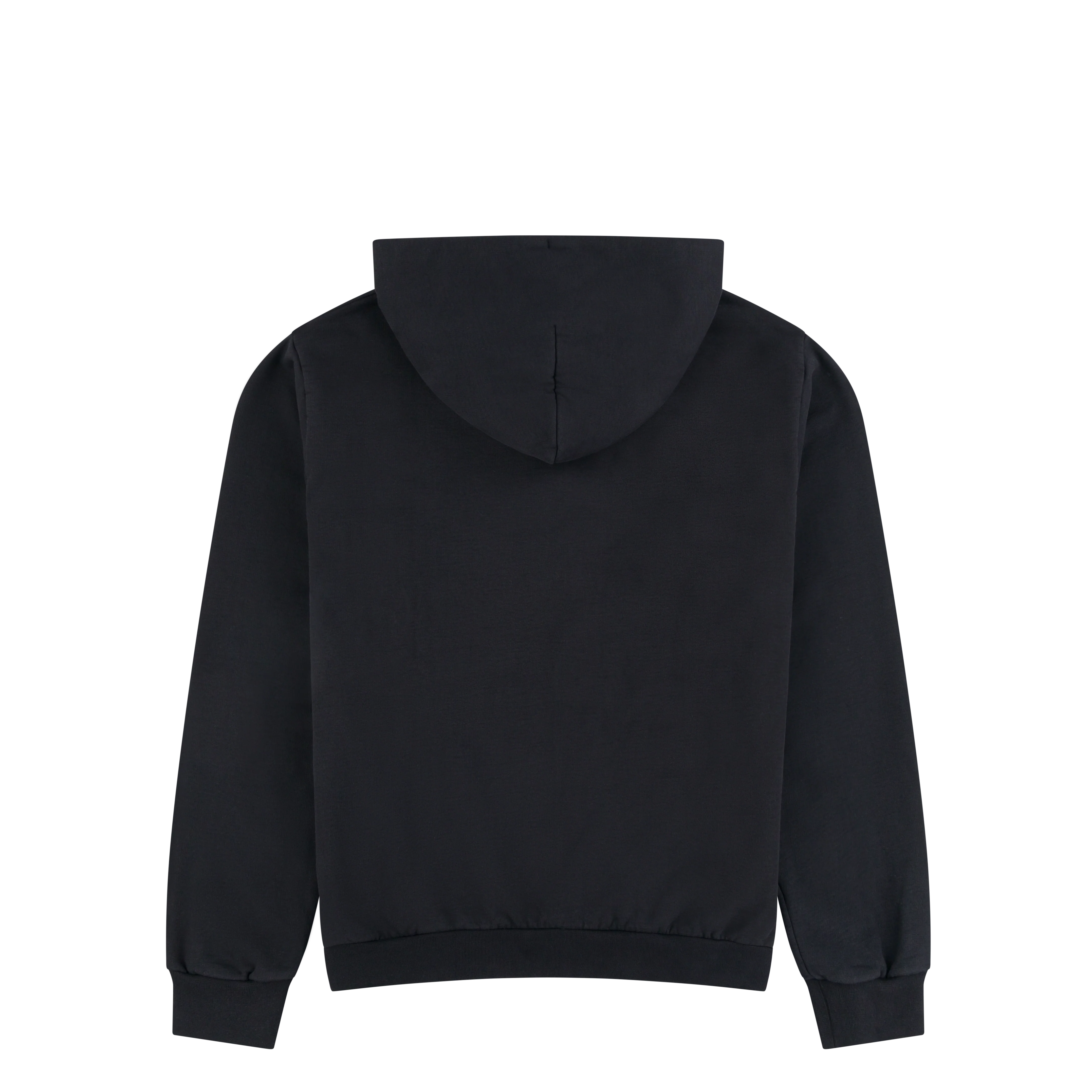 Icon Hoodie -  Vintage Black - Image 2