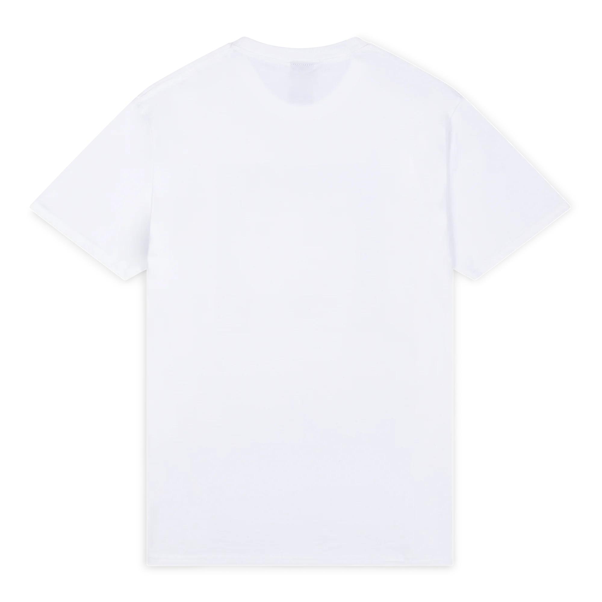 POiSON GiRL FRiEND (J-DIGS) x NTS POiSON HAZE TEE – WHITE - Image 3